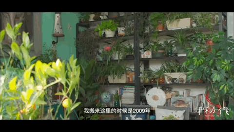 严查春节档电影互撕,春节档电影互撕