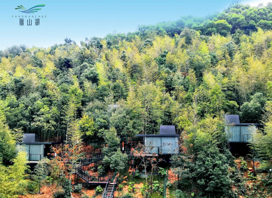 住在森林里体验野奢宿营生活,住在森林城市是一种怎样的体验