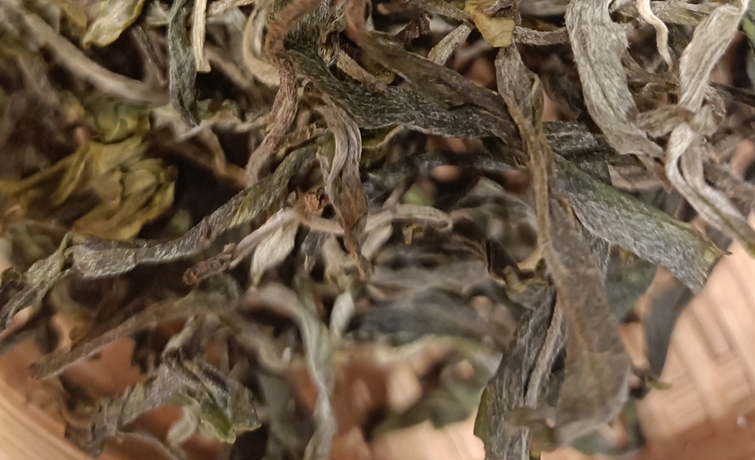 普洱茶友喝茶历程表,普洱茶界顶级茶痴