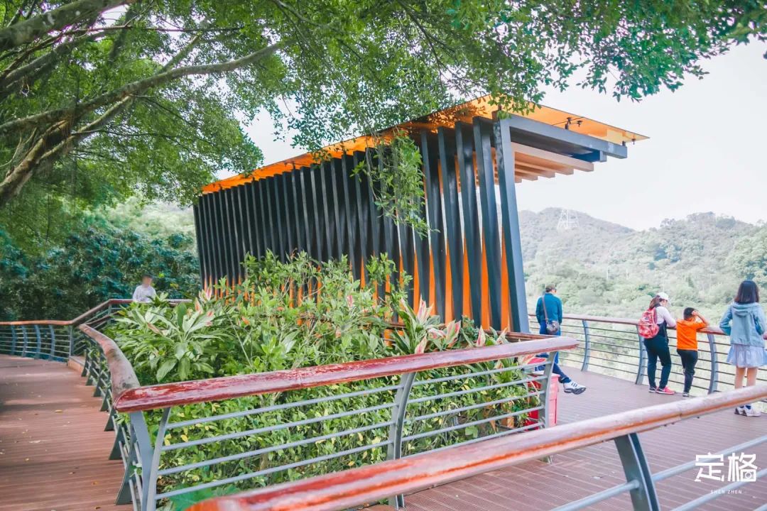 淘金山绿道揽胜,淘金山绿道预约