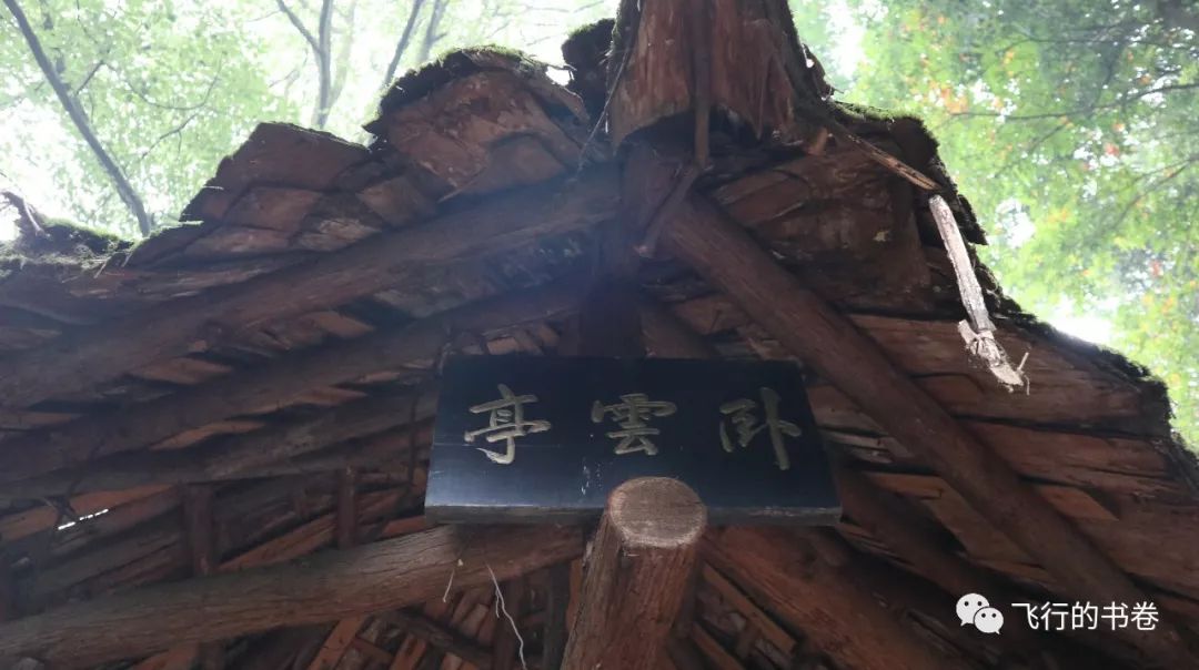 道教四大仙山你爬过几座,青城山为什么被称作道教第一山