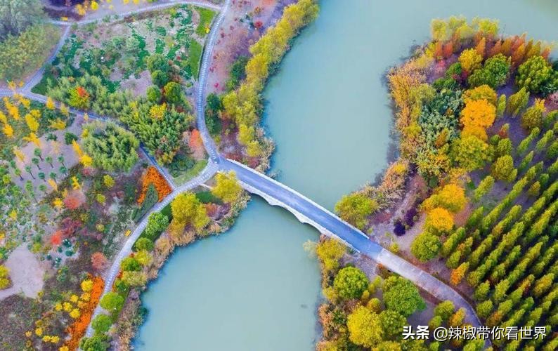 盐城最大的海边城市,盐城海岸线为何一直延伸