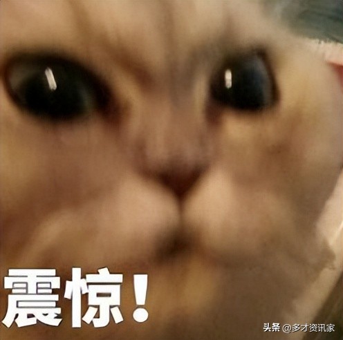 乌鸦坐飞机成龙历险记,乌鸦坐飞机小猴坐飞机