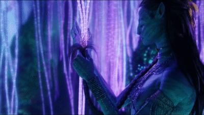 鸽了十几次，神作终于终于终于回来了