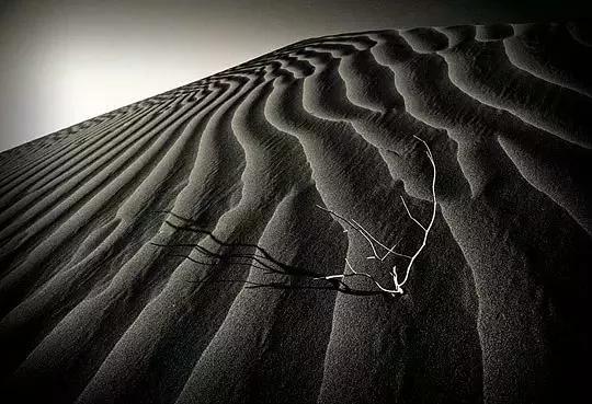 实事求是的求是什么意思,实事求是求真理