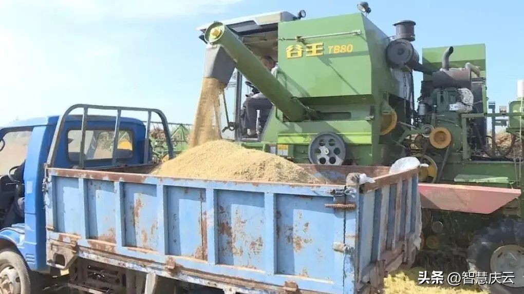 庆云县尚堂镇致富能手宗兴林：扎根乡土领路群众致富