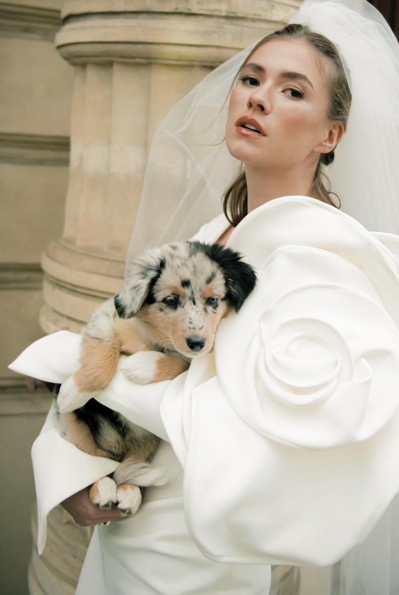 顶豪找贵族，LV家小公子的女友原来是伯爵之后…