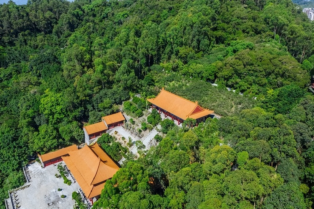 湾区光影魅力,南沙湾区超美风景线