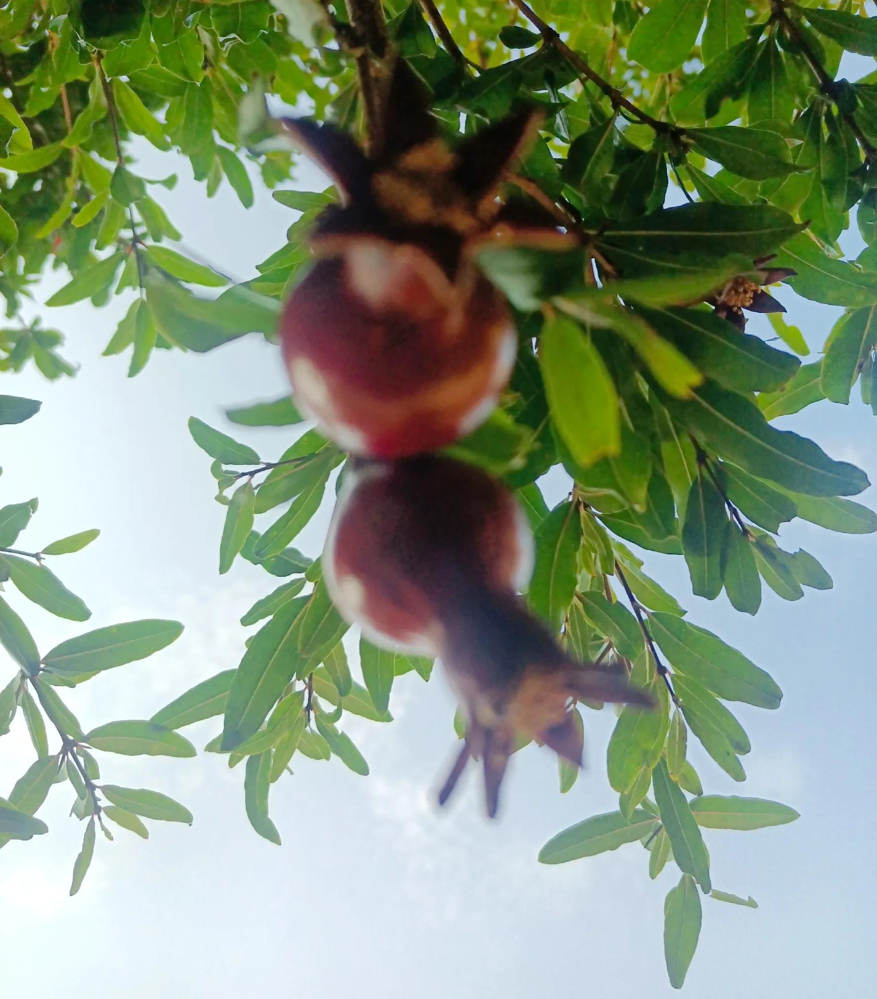 炒股投资理财公司,投股入门投资多少合适