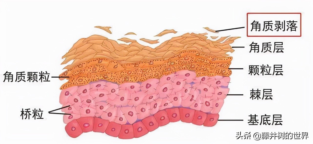 保姆级新手刷酸攻略,保姆级刷酸教程