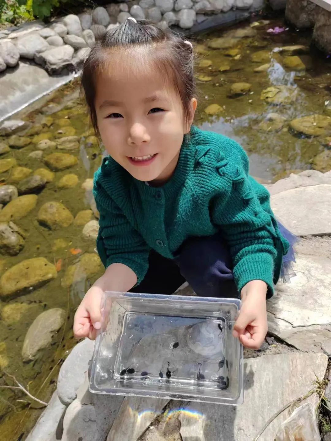 新绛县幼儿园【中四班班本课程】遇见蝌蚪