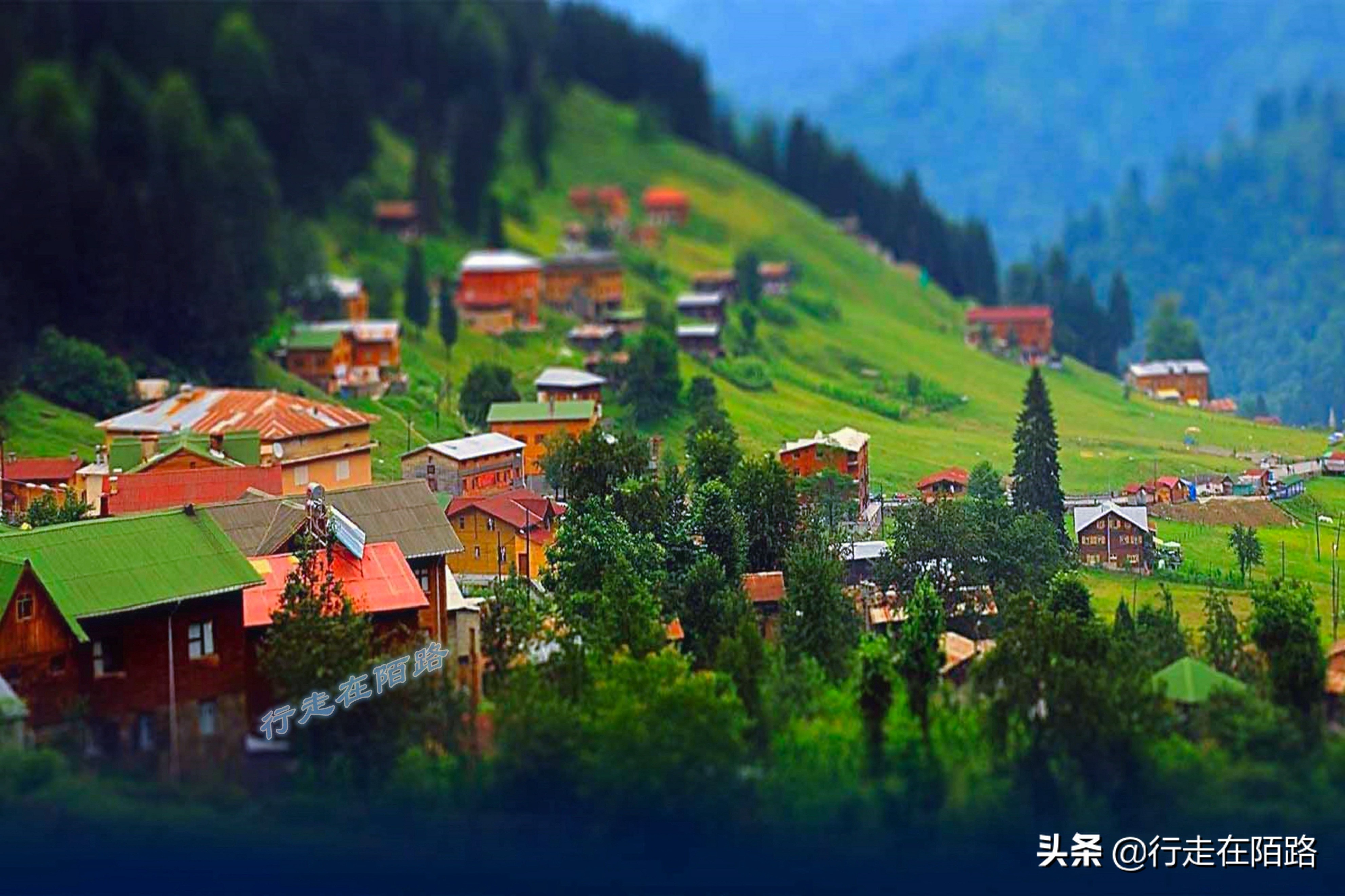 土耳其人茶文化,土耳其中文向导