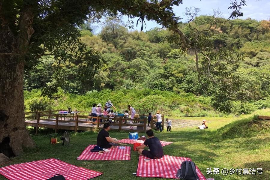 台湾小瓢虫农场,台湾小瓢虫