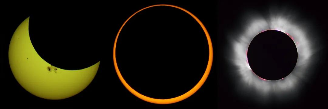 贝利珠产生过程到底有多奇妙,贝利珠现象是什么