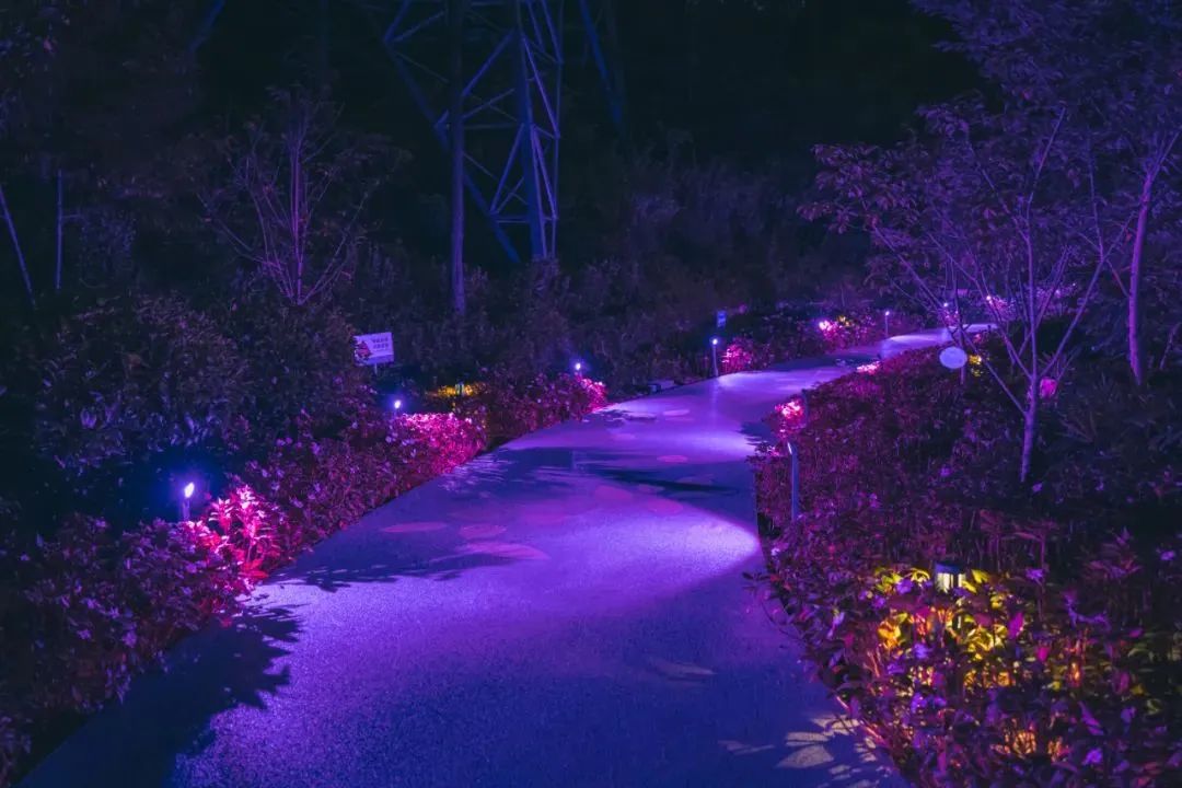 好夜色！好凉爽！夜景散步宝藏地→