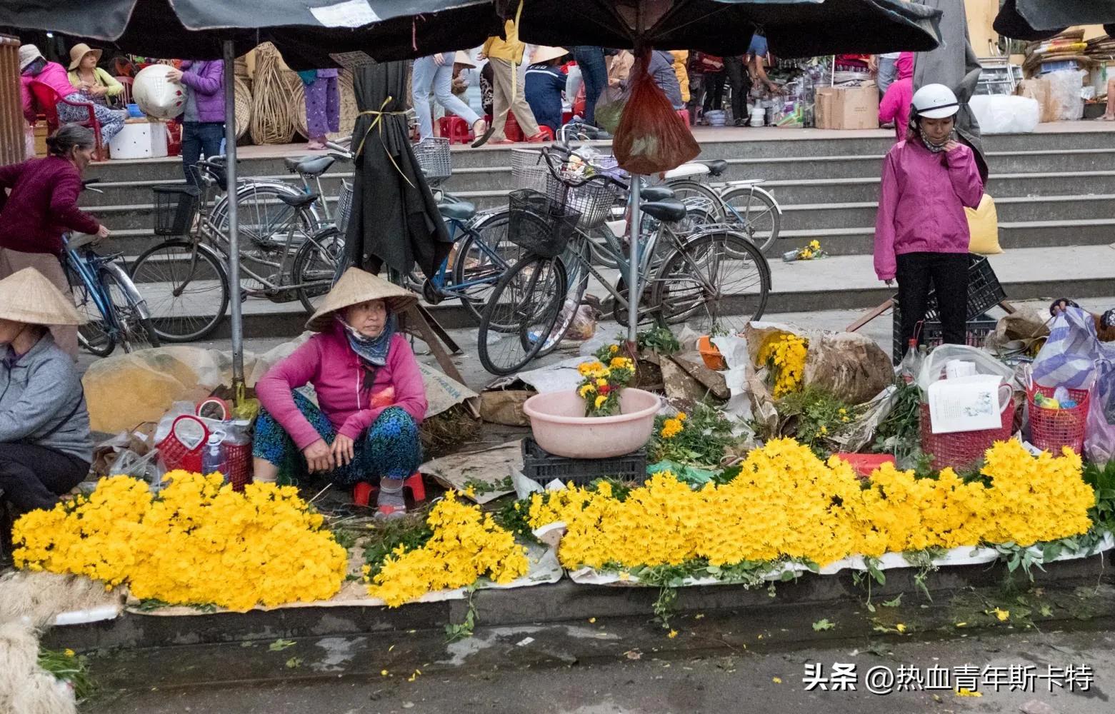 越南鲜花市场发展弊端,中国鲜花越南受欢迎吗
