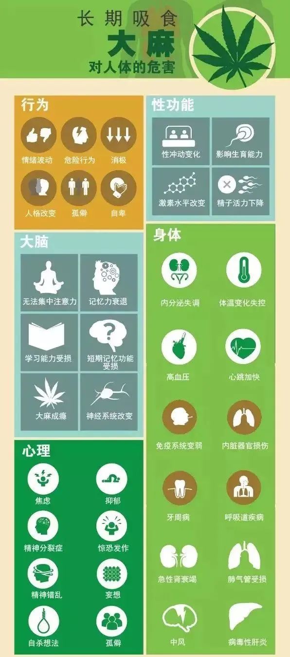 儿童刺绣亮片t恤,12个有毒童装品牌