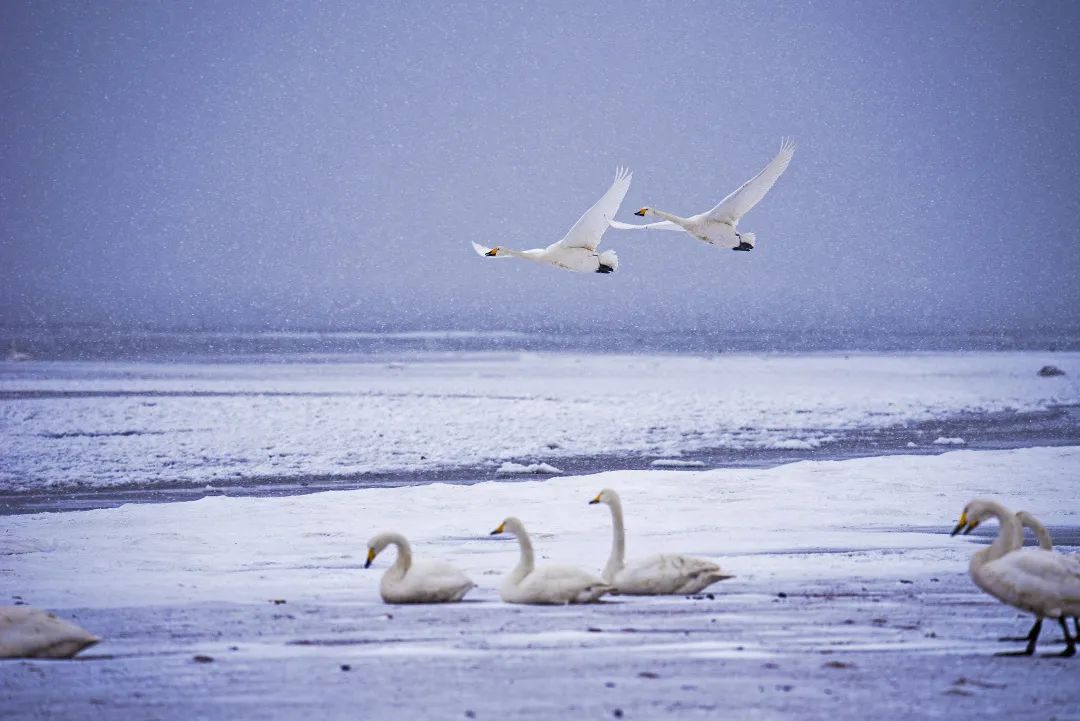 璇楄瘽娓歌,璇楄瘽涓璇楄瘝鍝侀壌