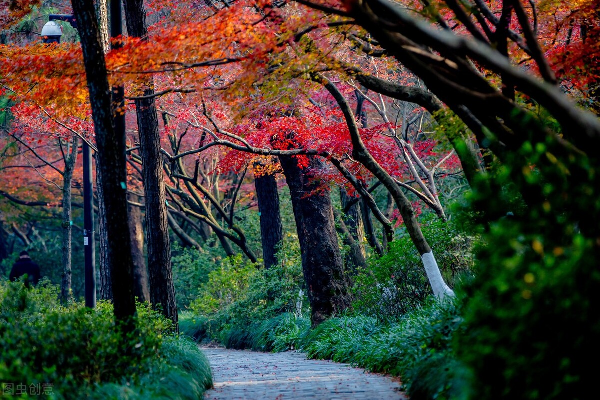 打卡杭州10个风景绝佳的赏秋地,杭州秋天最值得玩的地方