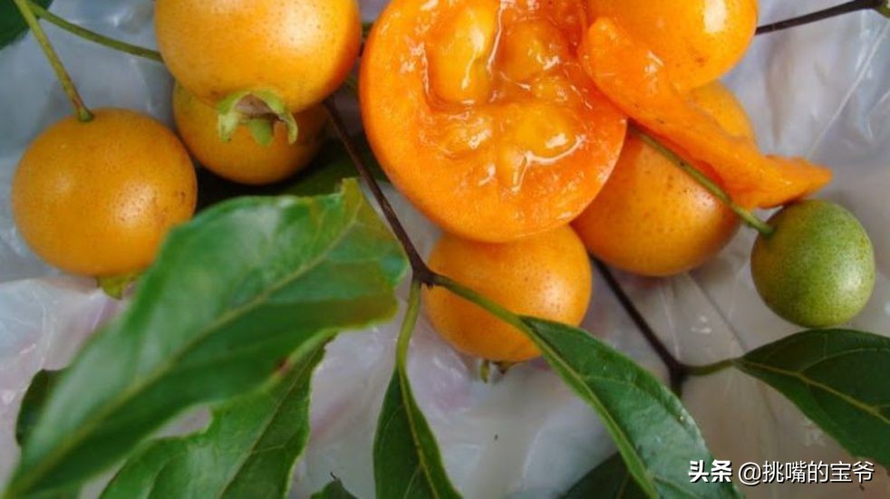 国土面积小于三万的国家,国土面积不足的省