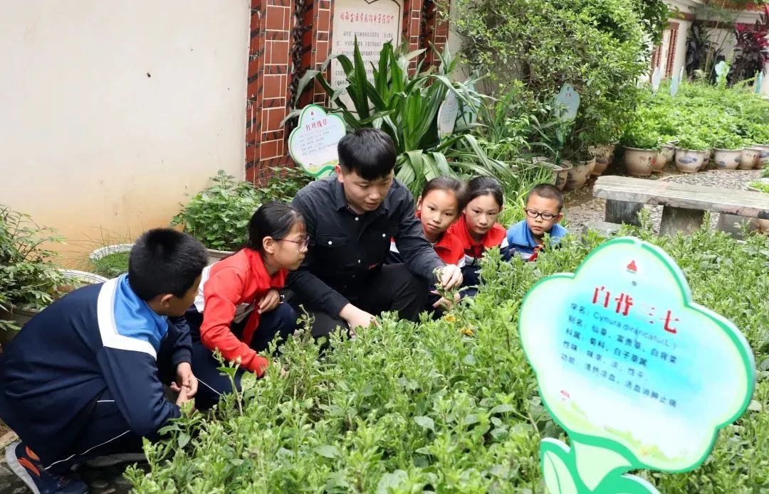 落实编制、专岗招聘！任职“兵教师”又有好消息！