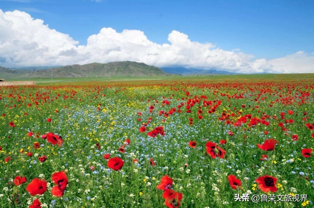 大美新疆的风景有哪些,大美新疆北疆美