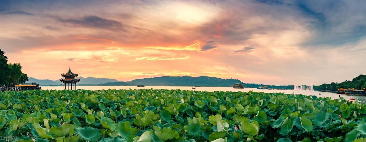 描写白色荷花的诗句古诗词,描写荷花的古诗词十首