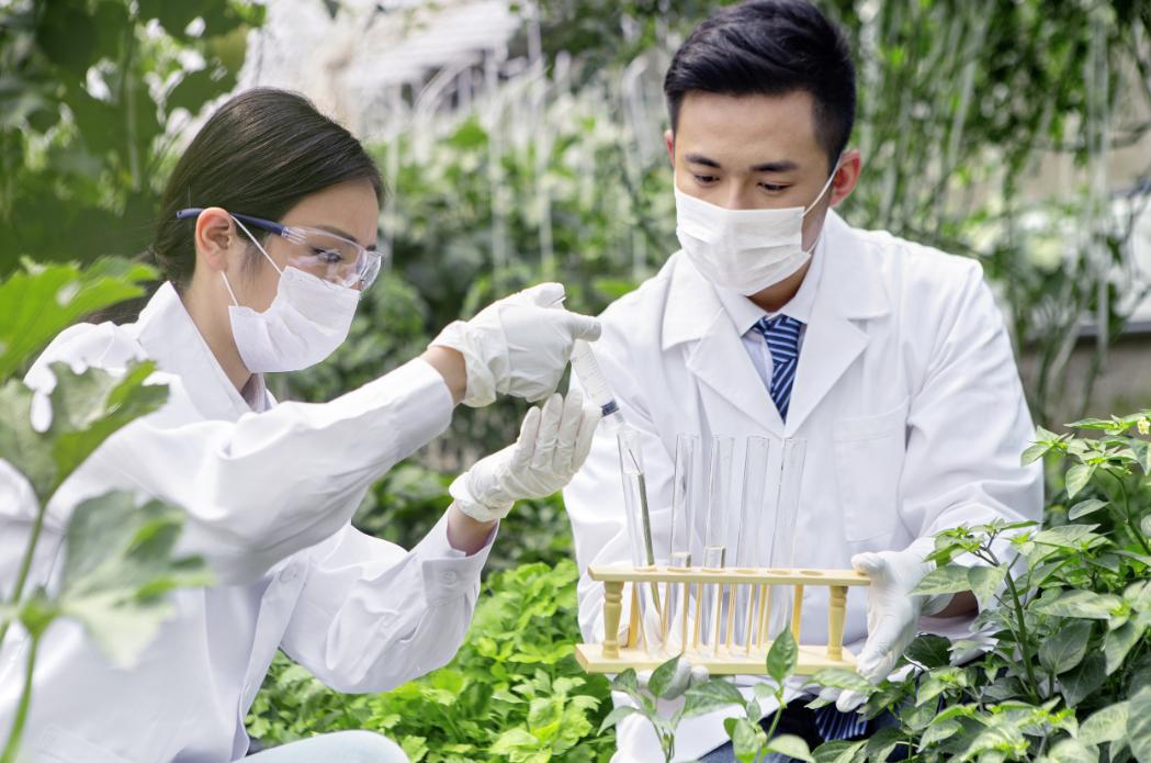 进口贸易与出口贸易对国情的影响,进口对我国经济的影响