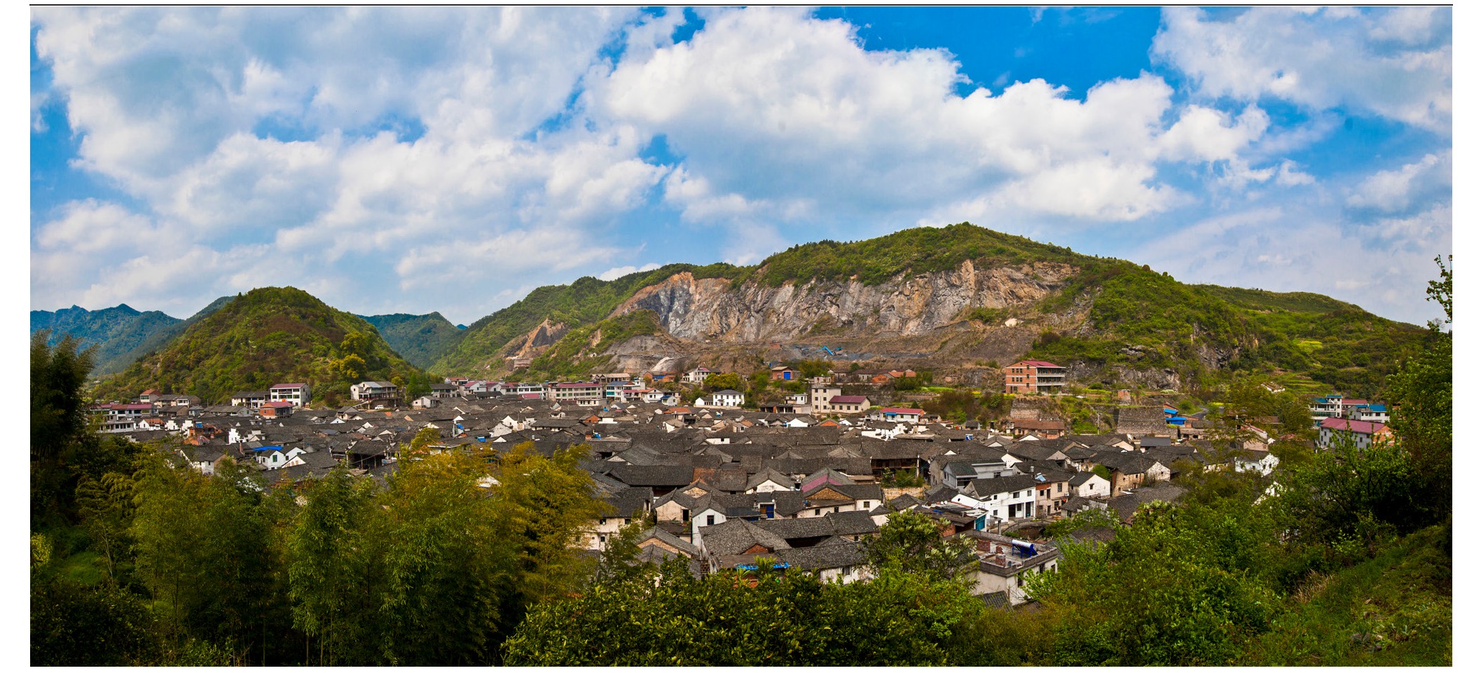 乡村振兴小葡萄,小葡萄串起乡村振兴大梦想