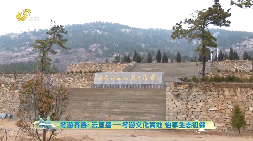 冬游齐鲁,冬游齐鲁泰安