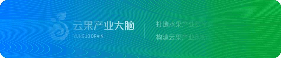 贵阳蓝莓产业,贵州蓝莓种植面积及产量