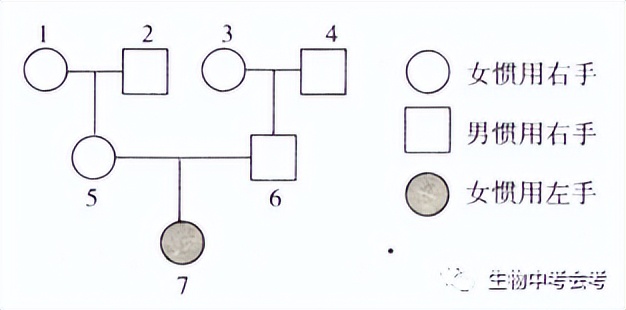 初中生物会考试卷复习视频,中考会考生物试卷