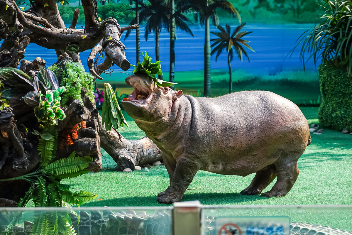 广州长隆欢乐世界的优势和劣势,广州长隆欢乐世界和融创乐园