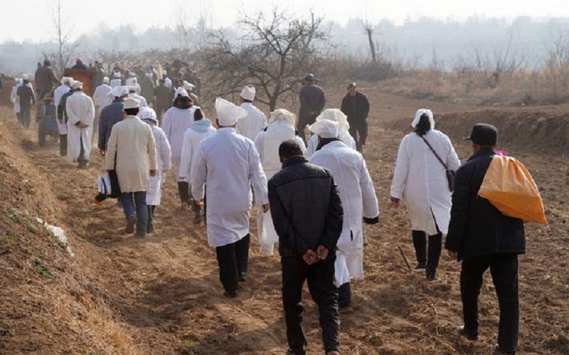 肿瘤科主任父亲得癌症被中医治好,父亲患癌医生放弃治疗完整版