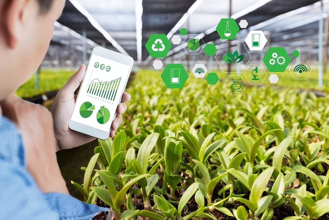 生鲜农产品发展现状及存在的问题,最新生鲜农产品供应链运作模式