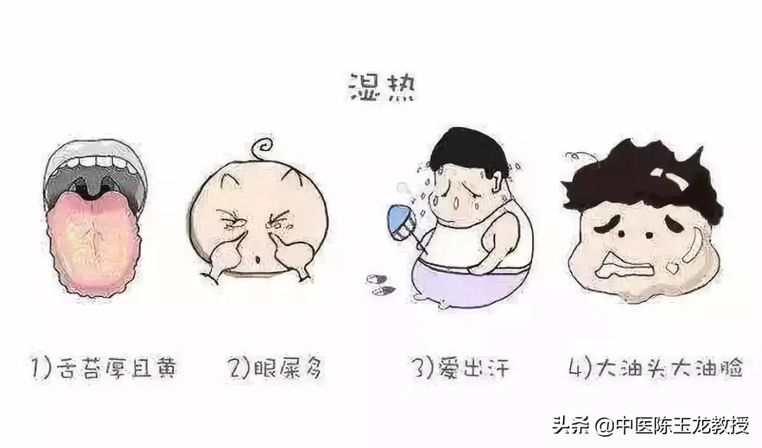 湿热最怕的草药,脾胃湿热和肝胆湿热同治的中成药