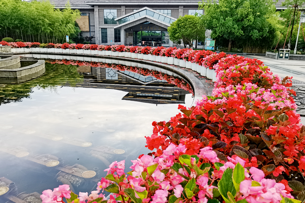 花盆里种不出参天大树——东吴第一任太子孙登成长记