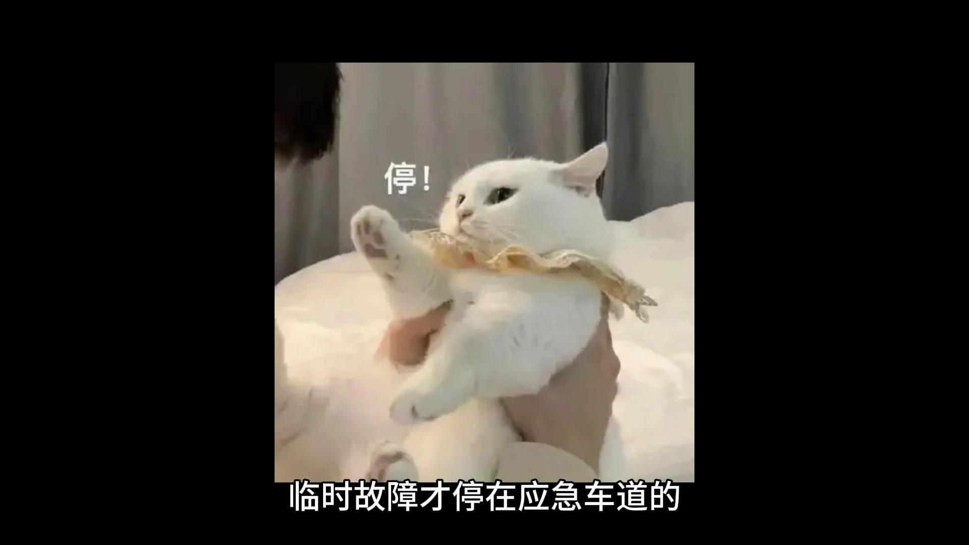 遇到小人一定要远离吗,遇到小人找你麻烦怎么办