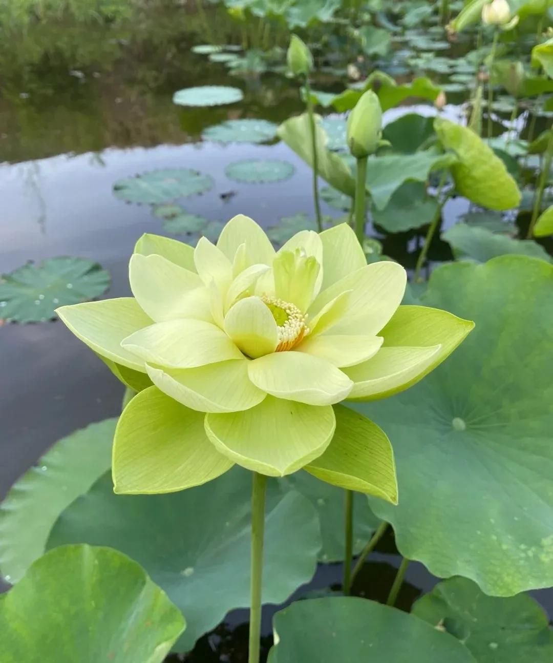 我的系统有点怪小说在哪里看,我的系统有点怪最新