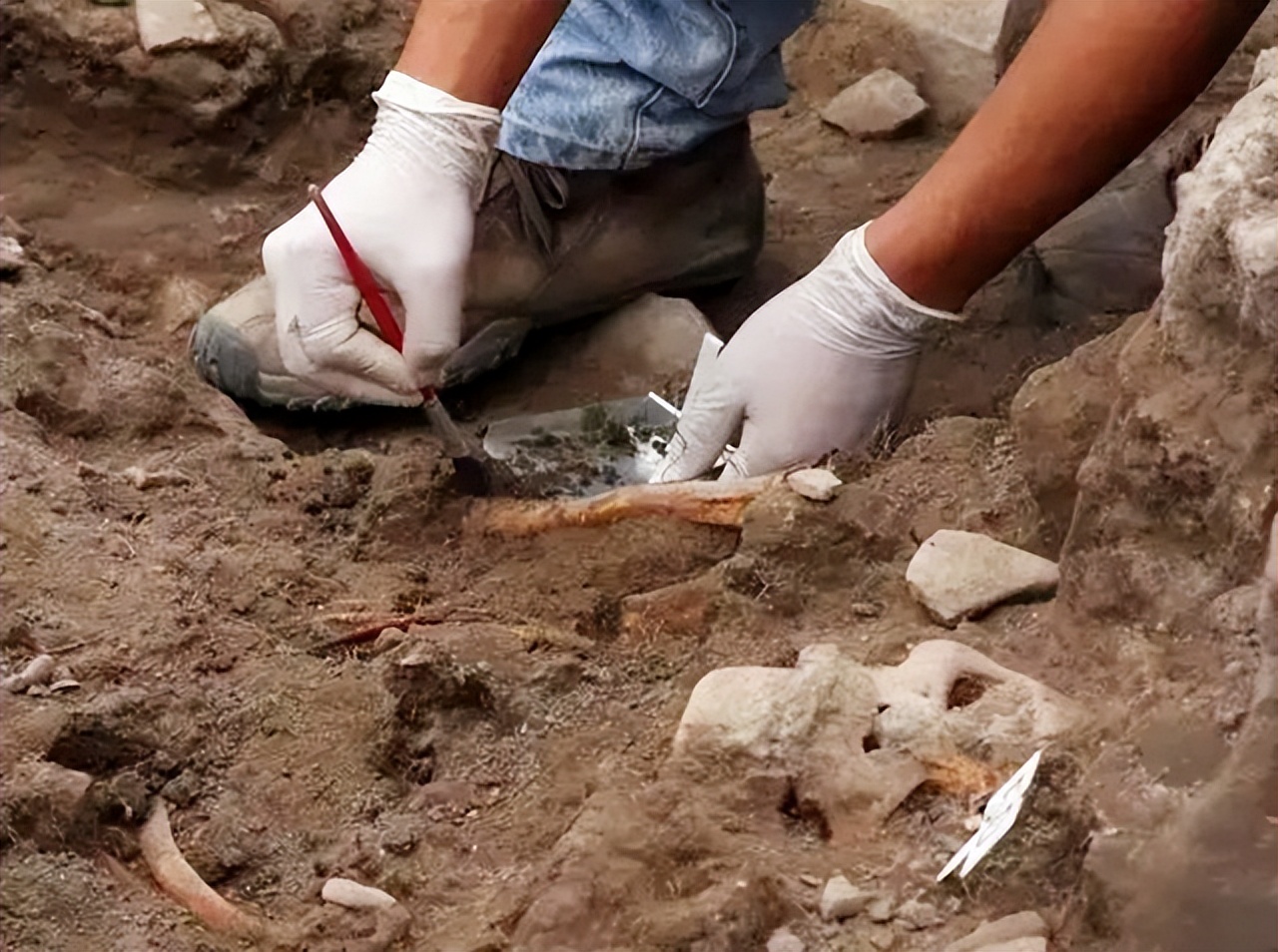 考古挖出古墓的尸体,西安考古发掘古墓现场图片