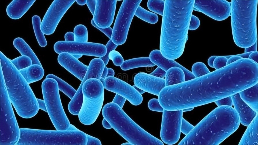 每天慢走1万步，能消除脂肪肝吗？提醒：这样锻炼，效果可能更好