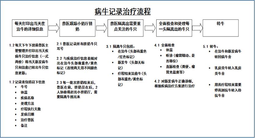 奶牛的管理方法和措施,奶牛怎么喂药