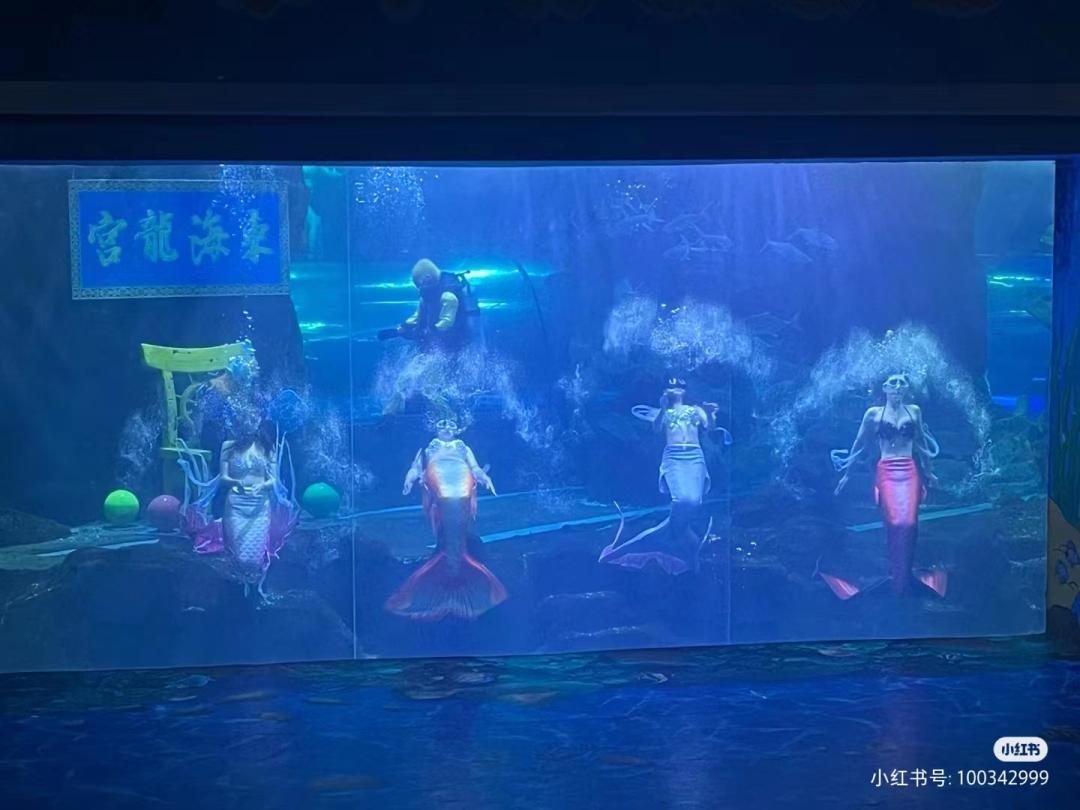 长春必去十大网红地,来长春打卡每日更新哪家火爆