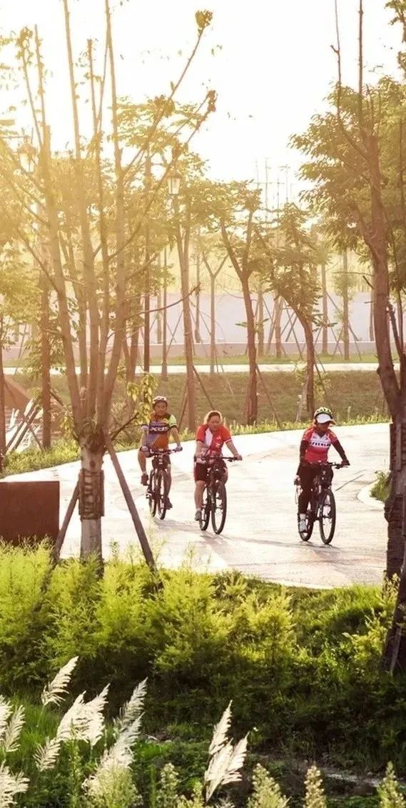 春暖花开运动好时节,春暖花开该开始运动了