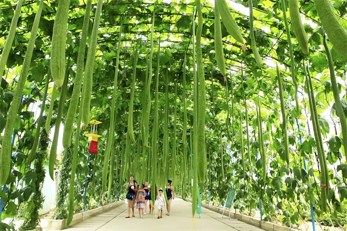 这么近那么美周末到河北去哪里玩,河北省小众宝藏旅行地一日游