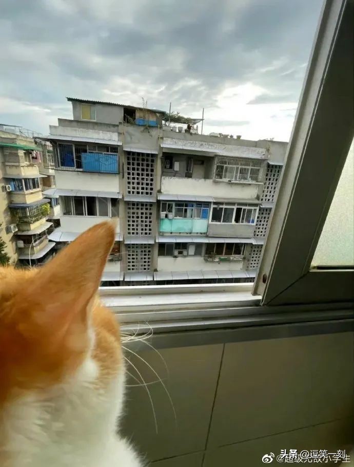 神仙男友的奇葩操作,男友的奇葩脑回路评论区笑不活了