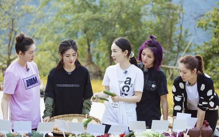 梓山漫居为何频上妻子的浪漫旅行，春日迟迟再出发等综艺—AD国际