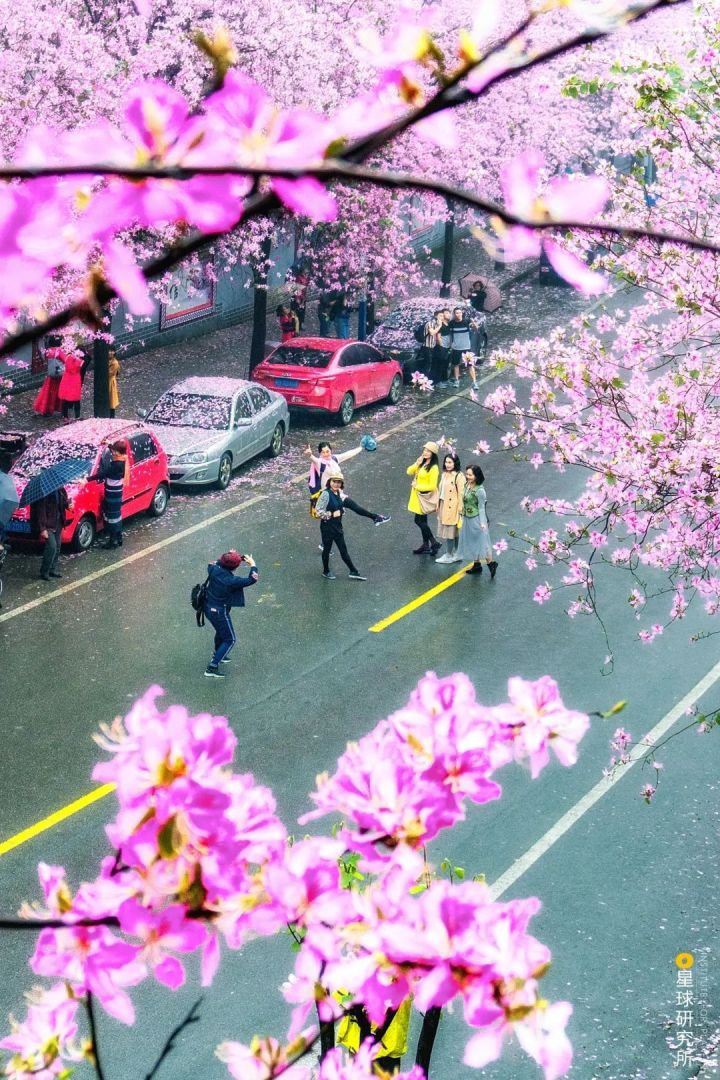 天天柳州,嗨啤柳州