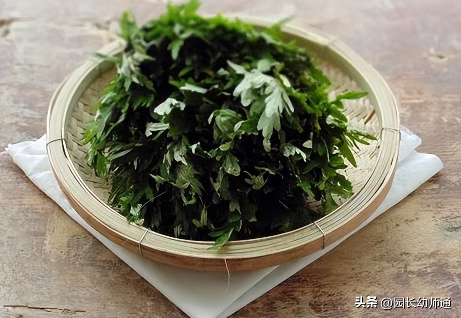 幼儿园防蚊策略,健康环保的7种驱蚊绝招