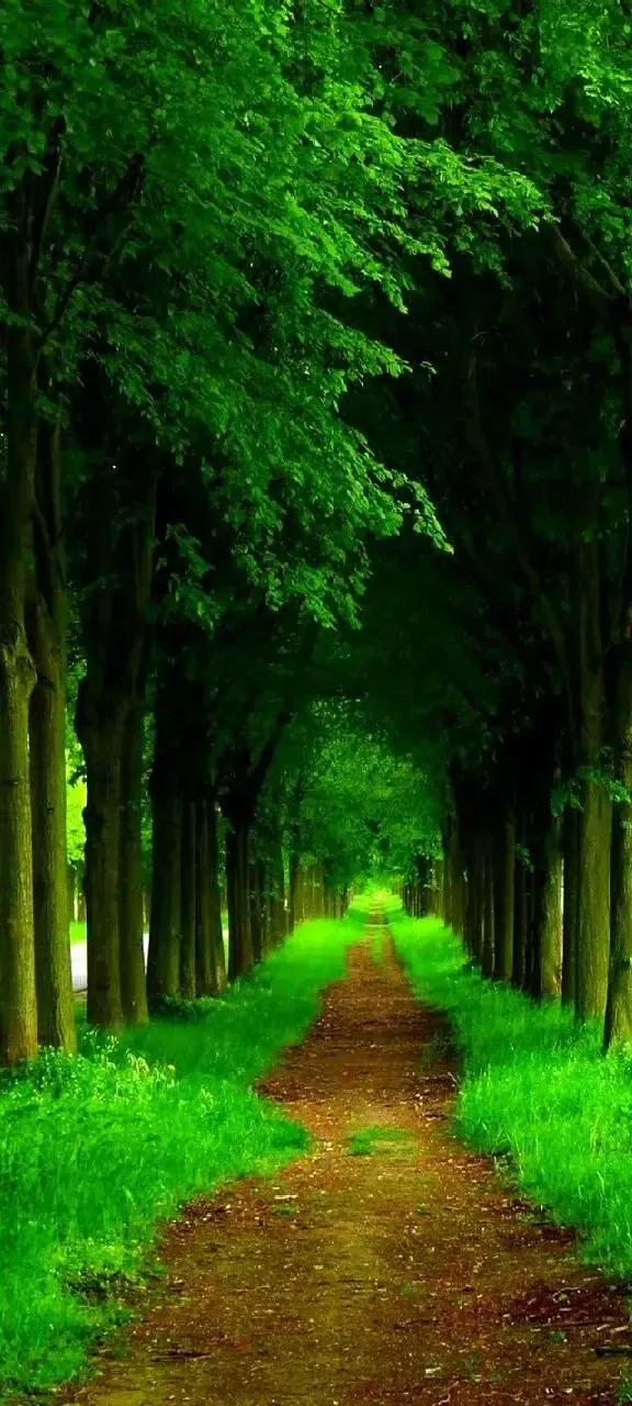 让人一眼惊艳的文案句子,让人点赞过万的文案唯美精致